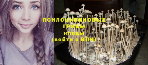 бутират Магас