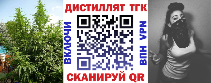 Купить закладки  Мглин  Дистиллят ТГК THC oil 