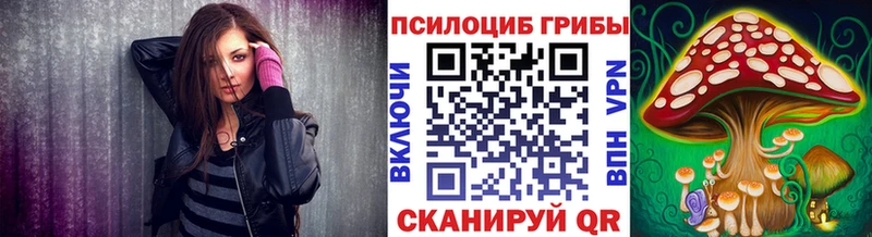 Купить  Мглин  Галлюциногенные грибы GOLDEN TEACHER 